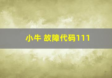 小牛 故障代码111